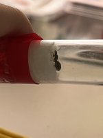 IMG_4120.jpeg