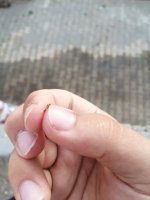 IMG_20250531_193310.jpg