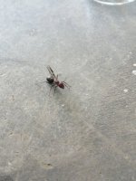 IMG_20250601_103631.jpg
