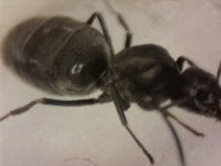20250603-182053-371.jpg