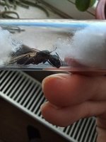 20250603_190328.jpg