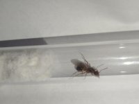 IMG_20250603_201731_718.jpg