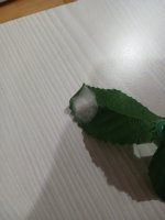 20250603_202339.jpg