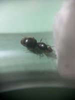 IMG_3727.jpeg