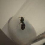 IMG_7087.jpeg