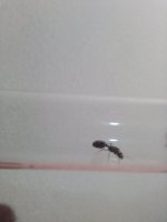 IMG_20250603_212053.jpg