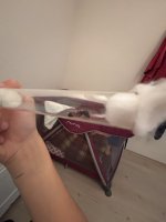 IMG_6105.jpeg