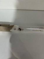 IMG_7205.jpeg