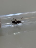 IMG_2766.jpeg