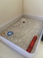 IMG_0493.jpeg