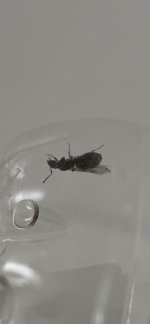 IMG_7518.jpeg