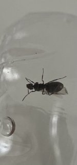 IMG_7515.jpeg