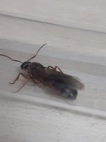 20250604_203843.jpg