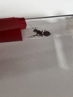 IMG_4127.jpeg