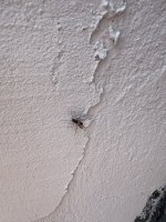 IMG_5067.jpeg
