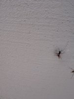 IMG_5066.jpeg