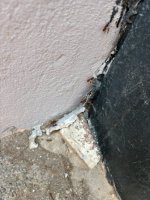 IMG_5069.jpeg