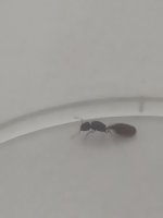 IMG_20250605_115207.jpg