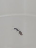 IMG_20250605_115343.jpg