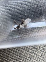 IMG_5076.jpeg
