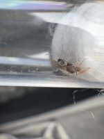 IMG_5072.jpeg