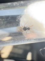 IMG_5070.jpeg