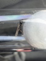 IMG_5073.jpeg