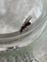 IMG_2803.jpeg