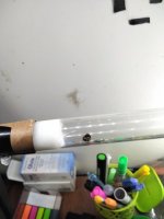 20250605_123744.jpg