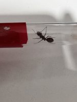 IMG_4128.jpeg