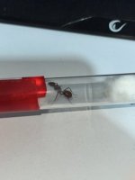 IMG_4129.jpeg