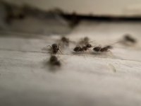 IMG_0108.jpeg