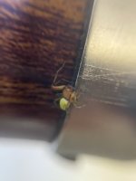IMG_0105.jpeg