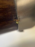 IMG_0104.jpeg