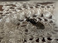IMG_6569.jpeg