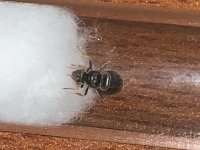 IMG_6557.jpeg
