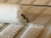 IMG_6573.jpeg