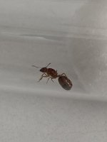 IMG_6585.jpeg