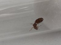IMG_6587.jpeg