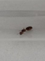 IMG_6588.jpeg