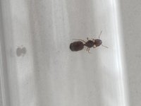 IMG_6590.jpeg