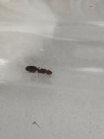 IMG_6591.jpeg
