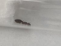 IMG_6592.jpeg