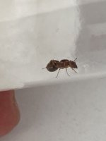 IMG_6593.jpeg