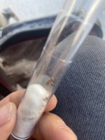 IMG_6394.jpeg