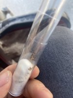 IMG_6393.jpeg