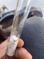 IMG_6392.jpeg