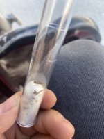 IMG_6391.jpeg