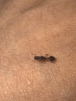 IMG_20250605_194236.jpg