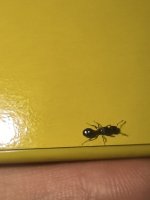 IMG_20250605_194221.jpg